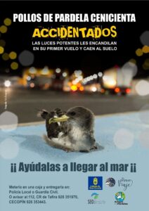 Gran Canaria Las Palmas Licht Wird Gedimmt