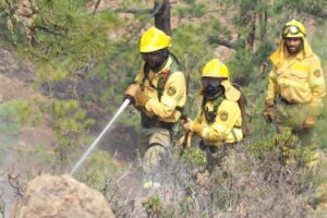 Teneriffa Santa Cruz Mit Ki Waldbrände Bekämpfen