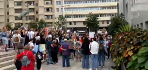 Gran Canaria Las Palmas Protest Der Katzenfreunde